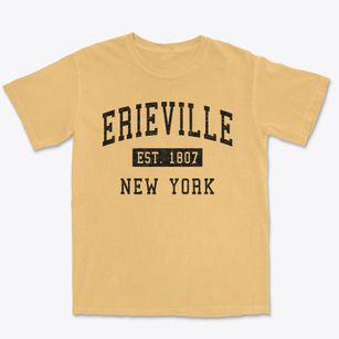 Erieville New York Classic Established Premium Heavyweight T-shirt