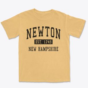 Newton New Hampshire Classic Established Premium Heavyweight T-shirt