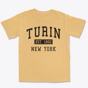 Turin New York Classic Established Premium Heavyweight T-shirt