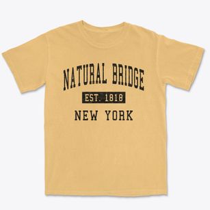 Natural Bridge New York Classic Established Premium Heavyweight T-shirt