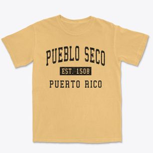 Pueblo Seco Puerto Rico Classic Established Premium Heavyweight T-shirt