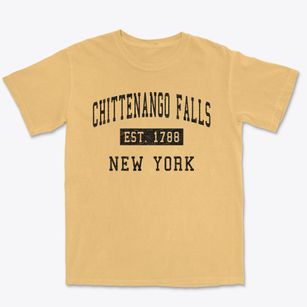 Chittenango Falls New York Classic Established Premium Heavyweight T-shirt