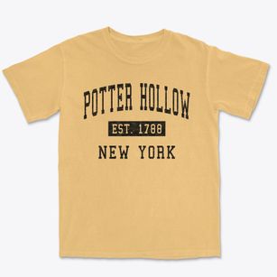 Potter Hollow New York Classic Established Premium Heavyweight T-shirt