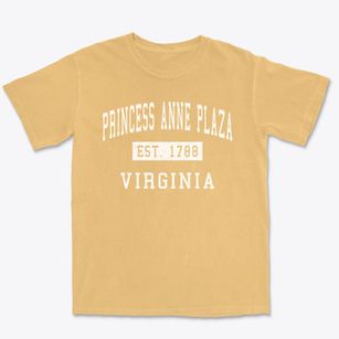 Princess Anne Plaza Virginia Classic Established Premium Heavyweight T-shirt