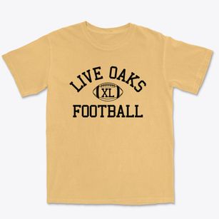 Live Oaks Career Development Center Classic Football Premium Heavyweight T-shirt