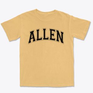 Allen Montessori Academy Varsity Arch Premium Heavyweight T-shirt