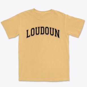 Montessori Children's House Of Loudoun Varsity Arch Premium Heavyweight T-shirt