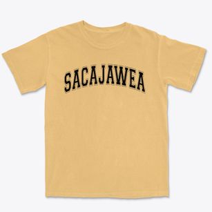 Sacajawea Elementary School Varsity Arch Premium Heavyweight T-shirt