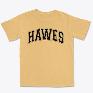 Hawes Elementary School Varsity Arch Premium Heavyweight T-shirt