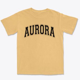 Aurora Christian Academy Varsity Arch Premium Heavyweight T-shirt