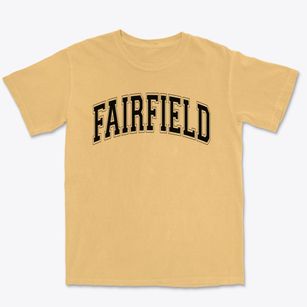 Fairfield County Sda School Varsity Arch Premium Heavyweight T-shirt
