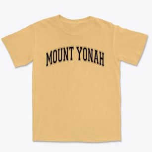 Mount Yonah Elementary School Varsity Arch Premium Heavyweight T-shirt