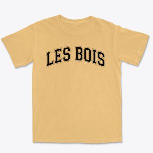 Les Bois Junior High School Varsity Arch Premium Heavyweight T-shirt