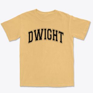 Dwight Elementary School Varsity Arch Premium Heavyweight T-shirt