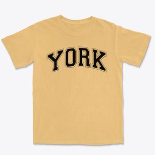 York Community High School Varsity Arch Premium Heavyweight T-shirt