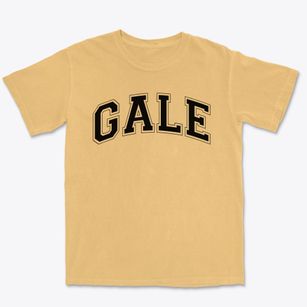 Gale Elementary School Varsity Arch Premium Heavyweight T-shirt
