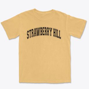 Strawberry Hill Elementary School Varsity Arch Premium Heavyweight T-shirt