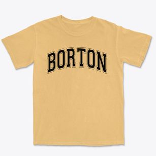 Borton Primary Magnet School Varsity Arch Premium Heavyweight T-shirt