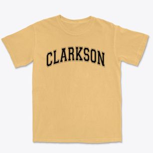 Clarkson Elementary School Varsity Arch Premium Heavyweight T-shirt