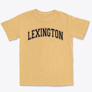 Lexington Christian Academy Varsity Arch Premium Heavyweight T-shirt