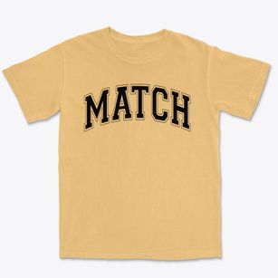 Match Charter Public School Varsity Arch Premium Heavyweight T-shirt