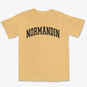 Normandin Junior High School Varsity Arch Premium Heavyweight T-shirt