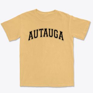 Autauga County Area Vocational Center Varsity Arch Premium Heavyweight T-shirt