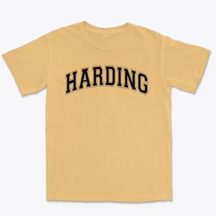 Harding Elementary School Varsity Arch Premium Heavyweight T-shirt