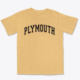 Plymouth Elementary Varsity Arch Premium Heavyweight T-shirt