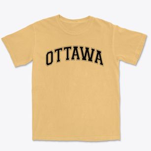 Ottawa Elementary Varsity Arch Premium Heavyweight T-shirt