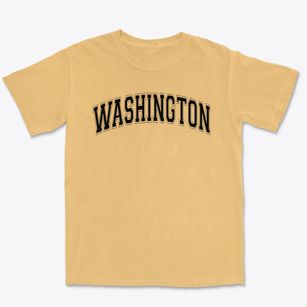 Washington Elementary School Varsity Arch Premium Heavyweight T-shirt