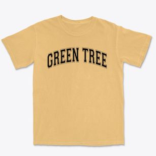 Green Tree Elmentary School Varsity Arch Premium Heavyweight T-shirt