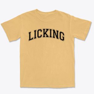 Licking Elementary School Varsity Arch Premium Heavyweight T-shirt