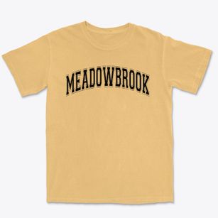 Meadowbrook Elementary School Varsity Arch Premium Heavyweight T-shirt