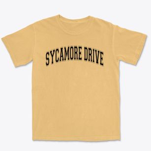 Sycamore Drive Learning Center Varsity Arch Premium Heavyweight T-shirt