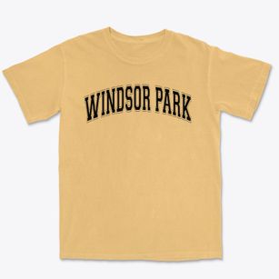 Windsor Park Elementary School Varsity Arch Premium Heavyweight T-shirt