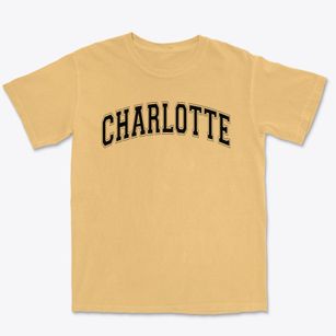 Charlotte Montessorri School #2 Varsity Arch Premium Heavyweight T-shirt