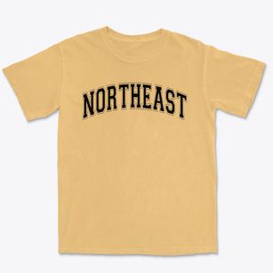 Northeast Elementary School Varsity Arch Premium Heavyweight T-shirt