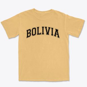 Bolivia Elementary School Varsity Arch Premium Heavyweight T-shirt