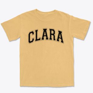 Clara E Westropp Education Center Varsity Arch Premium Heavyweight T-shirt