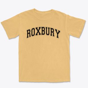 Roxbury Elementary School Varsity Arch Premium Heavyweight T-shirt