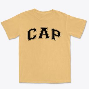 Community Academy Of Philadelphia Varsity Arch Premium Heavyweight T-shirt