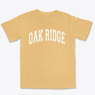 Oak Ridge Elementary School Varsity Arch Premium Heavyweight T-shirt