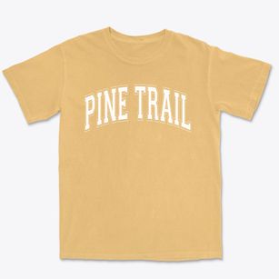 Pine Trail Elementary School Varsity Arch Premium Heavyweight T-shirt
