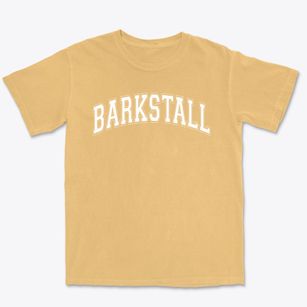 Barkstall Elementary School Varsity Arch Premium Heavyweight T-shirt