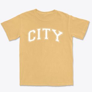 City And Country School Varsity Arch Premium Heavyweight T-shirt