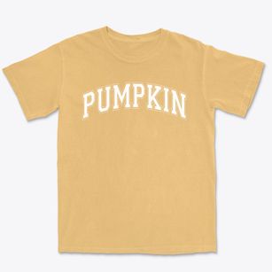 Pumpkin Center Elementary School Varsity Arch Premium Heavyweight T-shirt