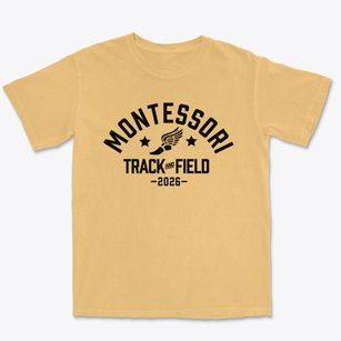 Montessori School Of Greenville Track and Field Premium Heavyweight T-shirt