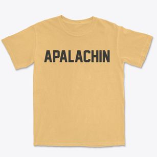 Apalachin New York Classic Block Premium Heavyweight T-shirt