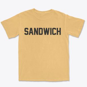 Sandwich New Hampshire Classic Block Premium Heavyweight T-shirt